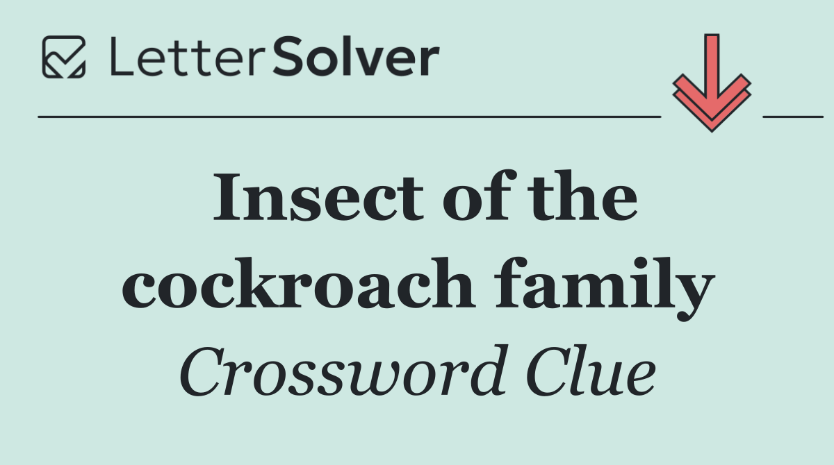 Insect of the cockroach family
