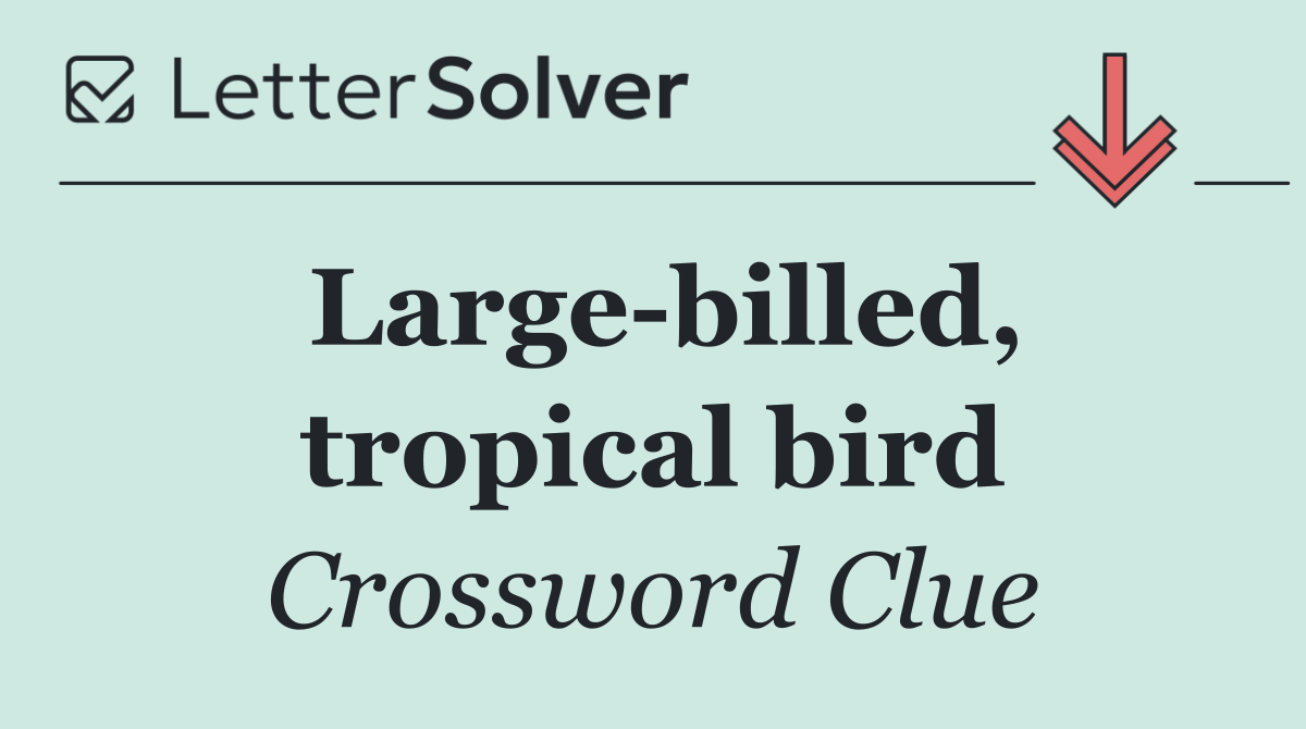 Large billed, tropical bird