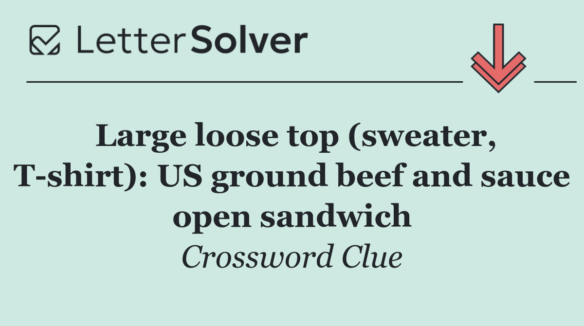 Large loose top (sweater, T shirt): US ground beef and sauce open sandwich
