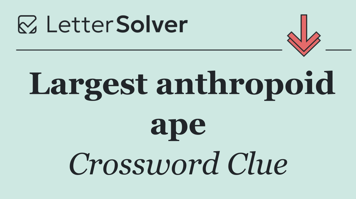 Largest anthropoid ape