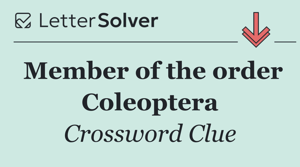 Member of the order Coleoptera