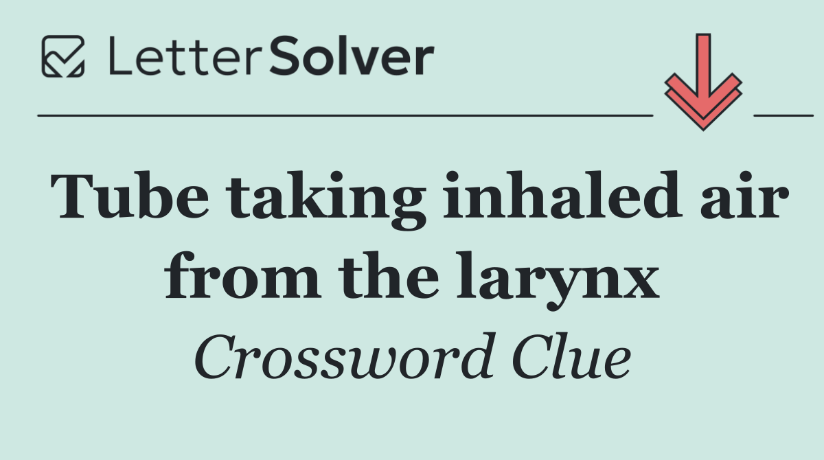 Tube taking inhaled air from the larynx