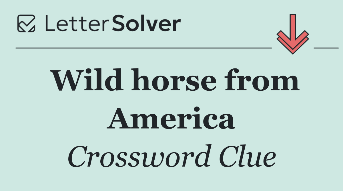 Wild horse from America