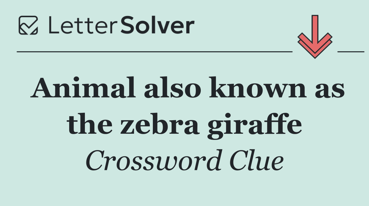 Animal also known as the zebra giraffe