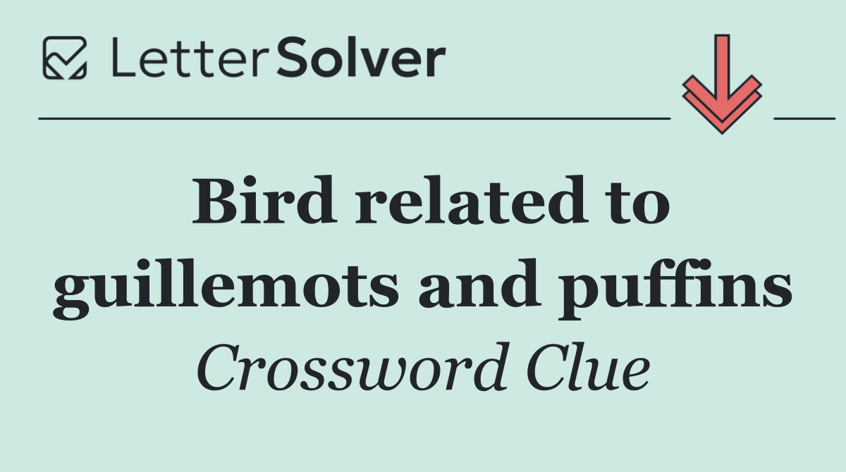 Bird related to guillemots and puffins