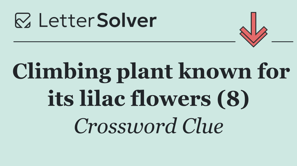 Climbing plant known for its lilac flowers (8)