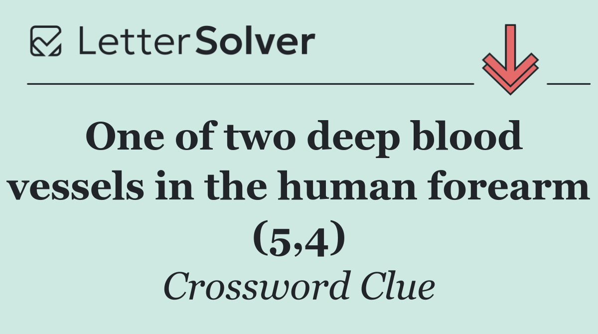 One of two deep blood vessels in the human forearm (5,4)