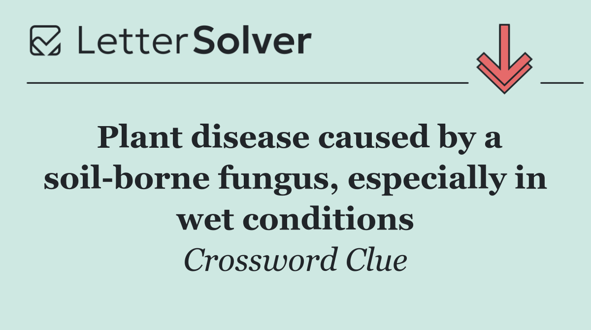 Plant disease caused by a soil borne fungus, especially in wet conditions