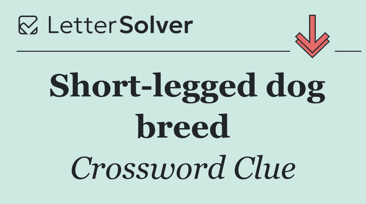 Short legged dog breed