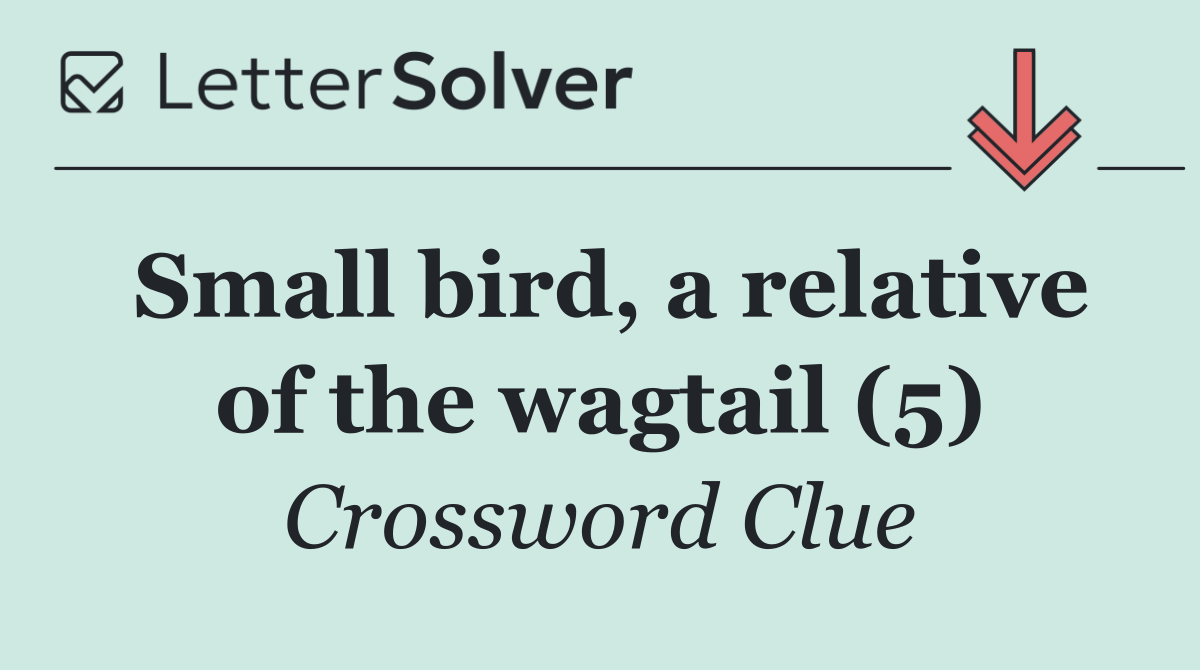 Small bird, a relative of the wagtail (5)