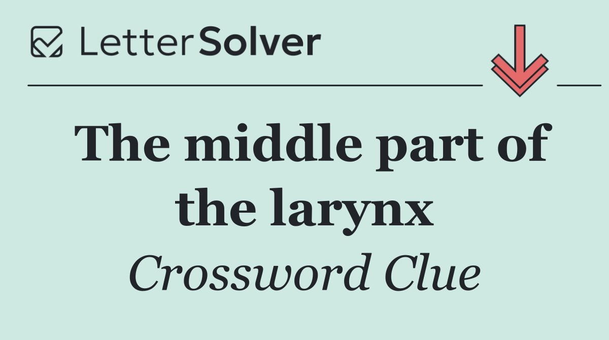 The middle part of the larynx