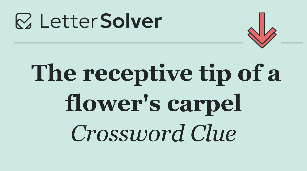 The receptive tip of a flower's carpel
