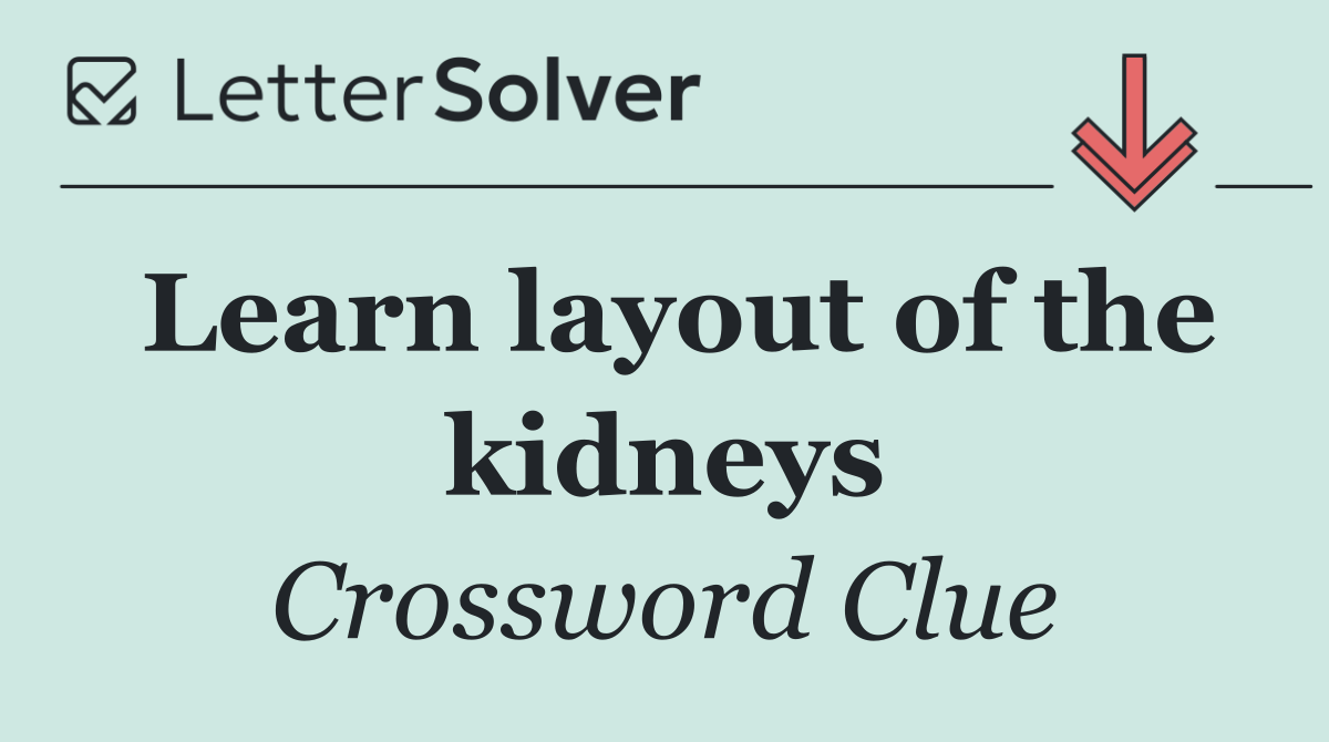 Learn layout of the kidneys