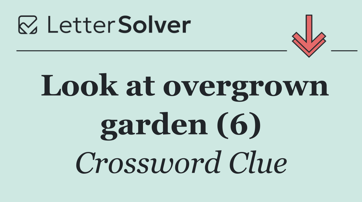 Look at overgrown garden (6)