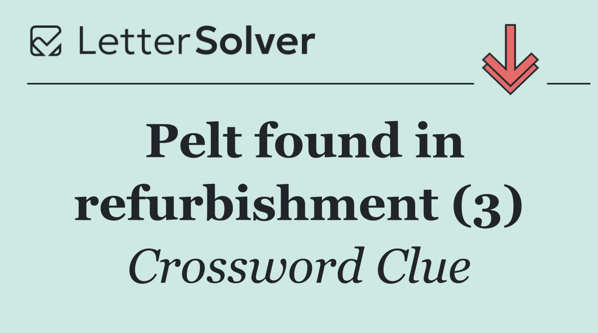 Pelt found in refurbishment (3)