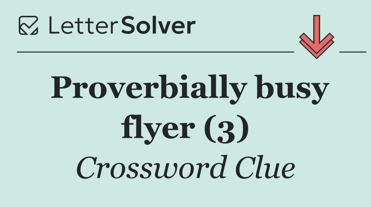 Proverbially busy flyer (3)