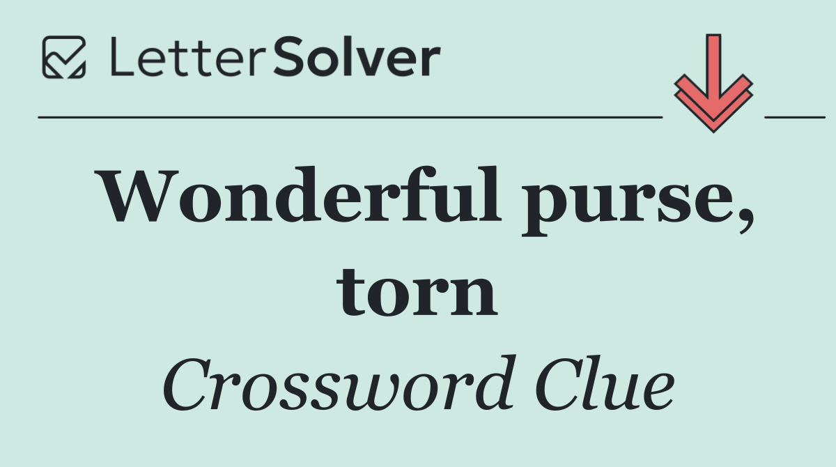 Wonderful purse, torn