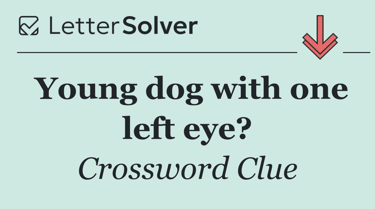 Young dog with one left eye?