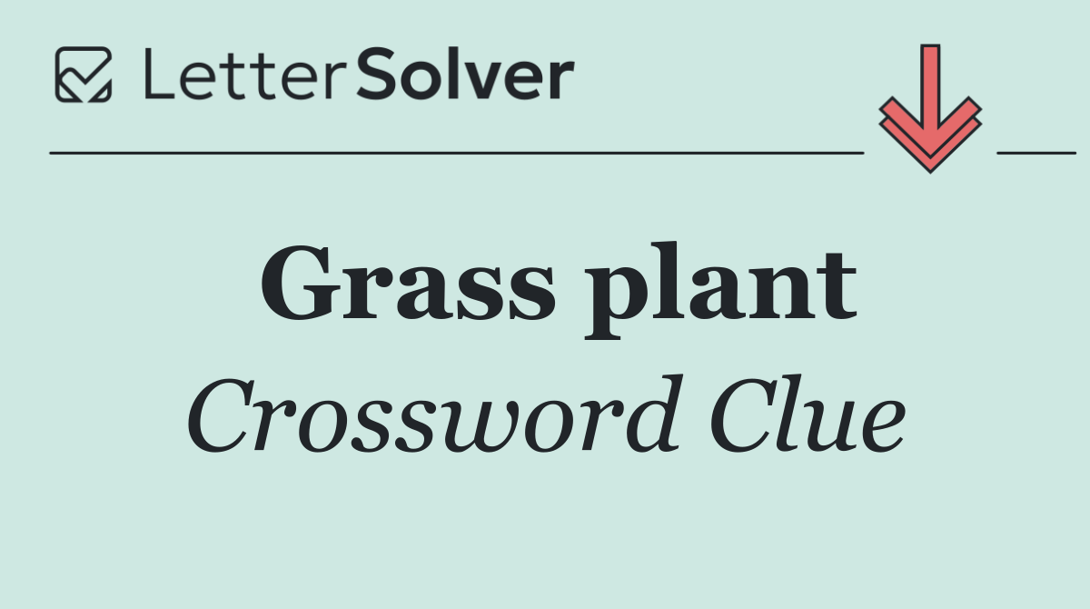Grass plant