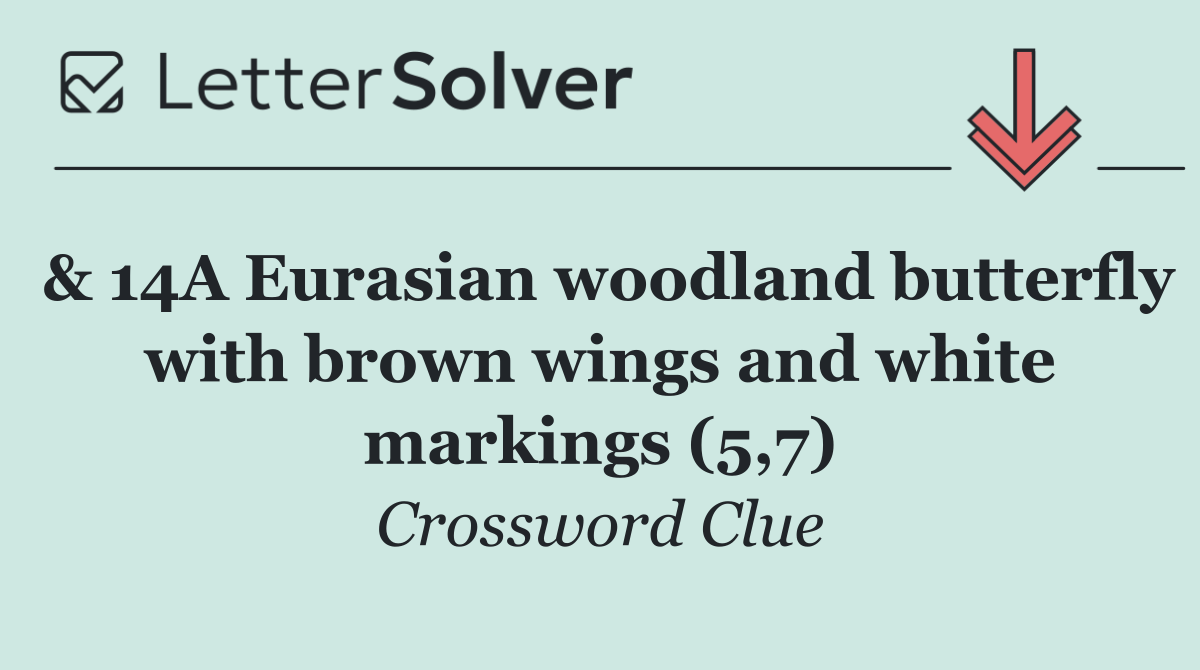 & 14A Eurasian woodland butterfly with brown wings and white markings (5,7)