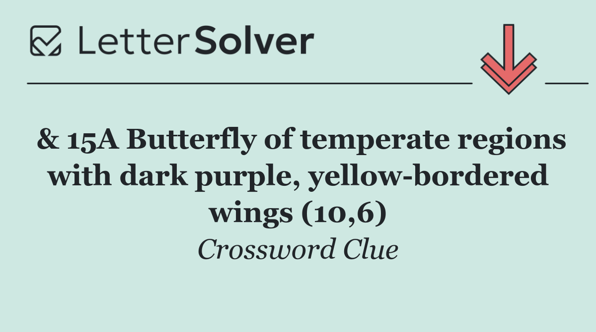 & 15A Butterfly of temperate regions with dark purple, yellow bordered wings (10,6)