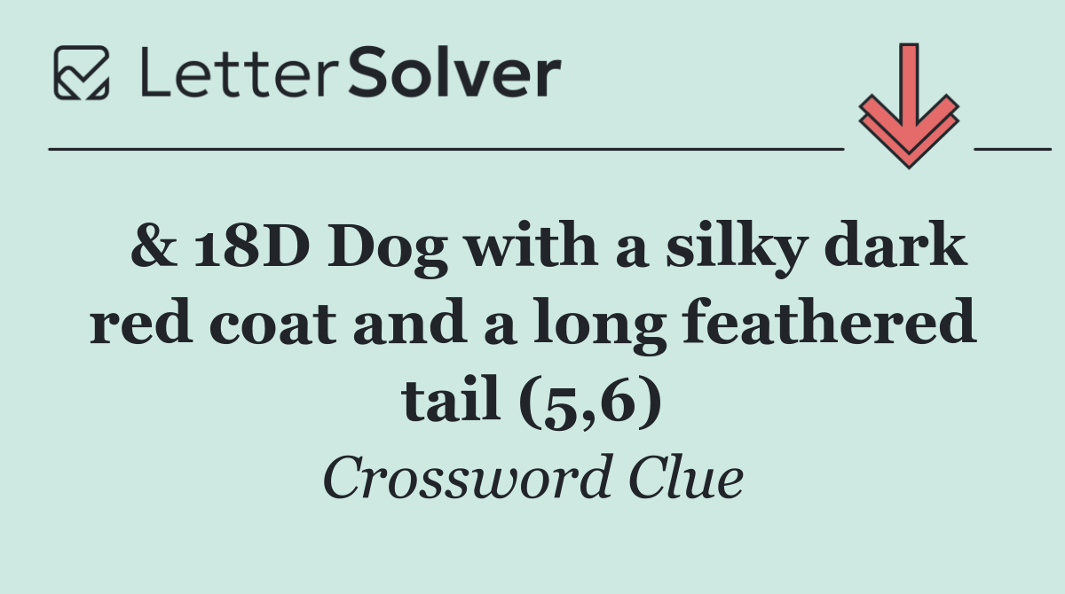  & 18D Dog with a silky dark red coat and a long feathered tail (5,6)