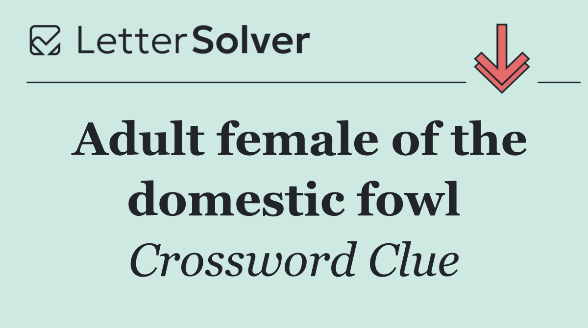 Adult female of the domestic fowl