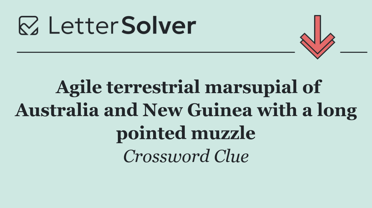 Agile terrestrial marsupial of Australia and New Guinea with a long pointed muzzle
