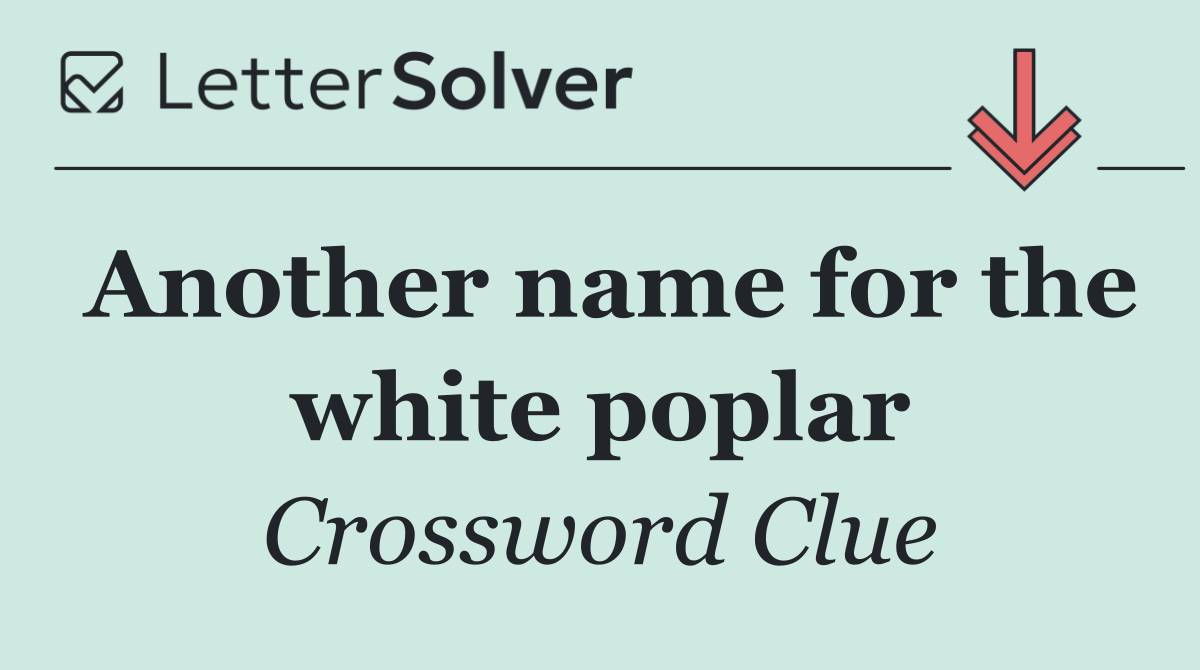 Another name for the white poplar
