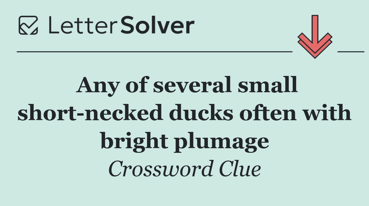 Any of several small short necked ducks often with bright plumage