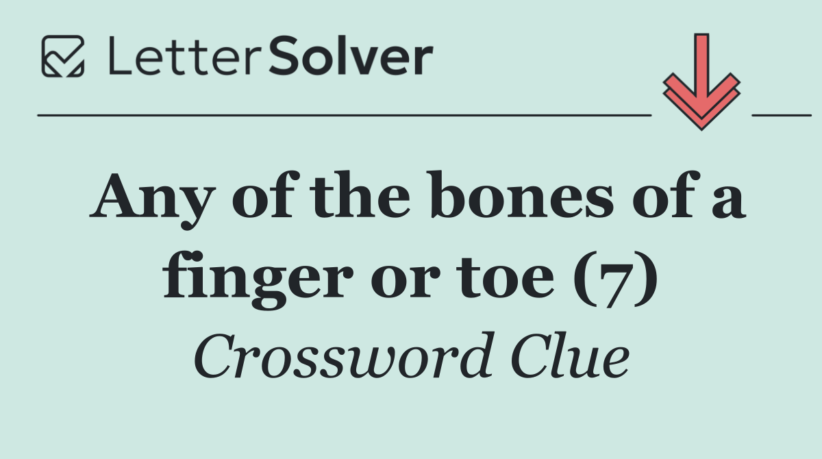 Any of the bones of a finger or toe (7)