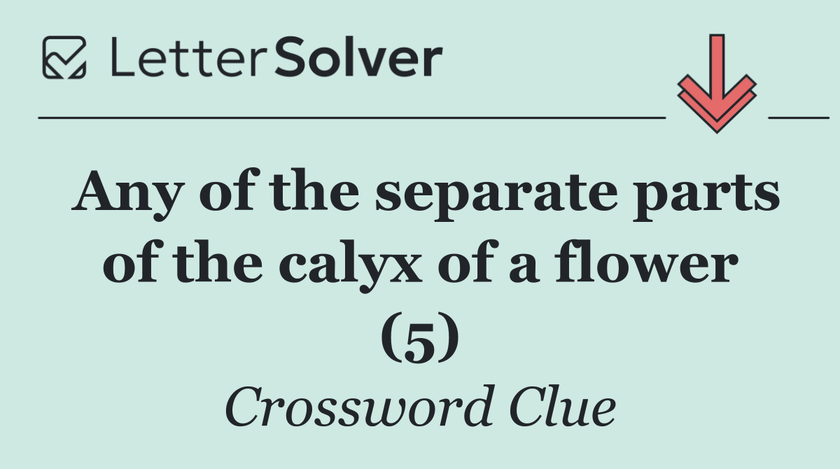 Any of the separate parts of the calyx of a flower (5)