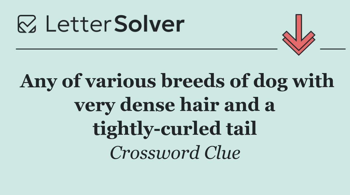 Any of various breeds of dog with very dense hair and a tightly curled tail