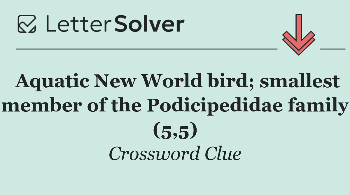 Aquatic New World bird; smallest member of the Podicipedidae family (5,5)