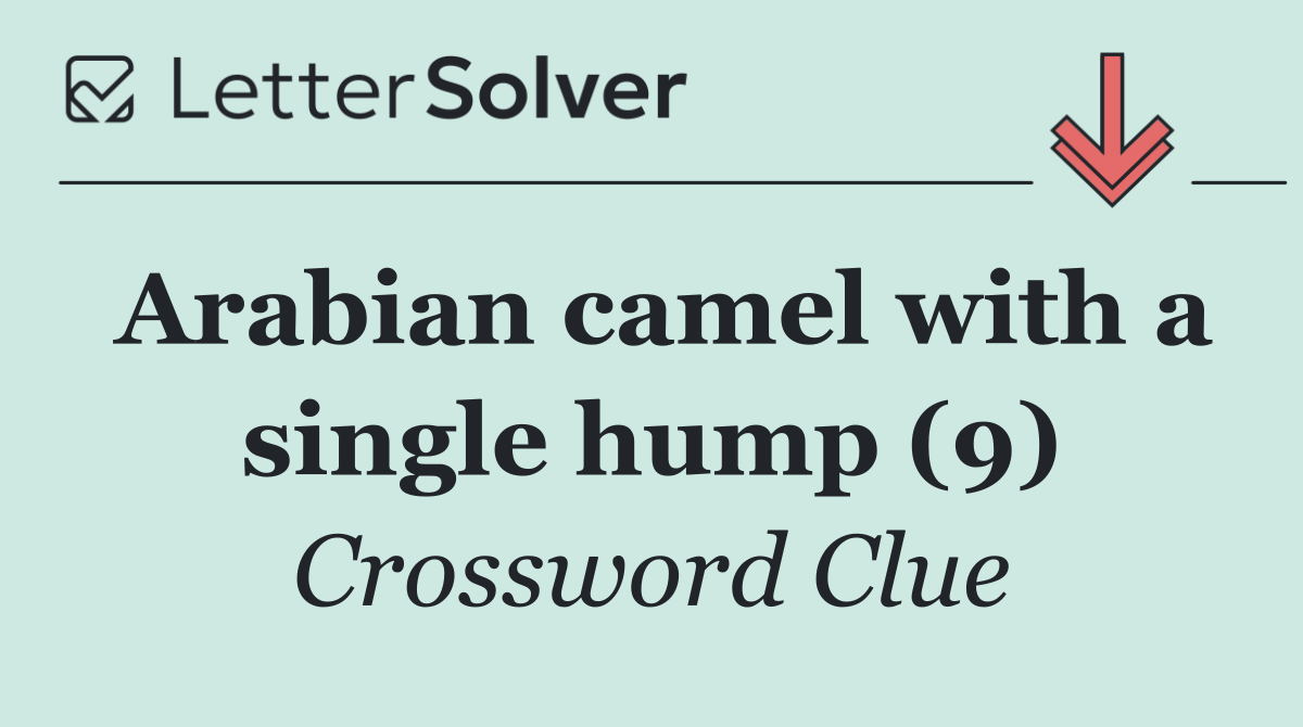 Arabian camel with a single hump (9)