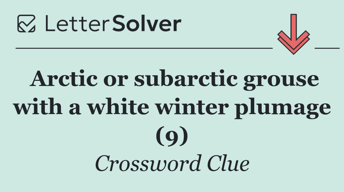 Arctic or subarctic grouse with a white winter plumage (9)