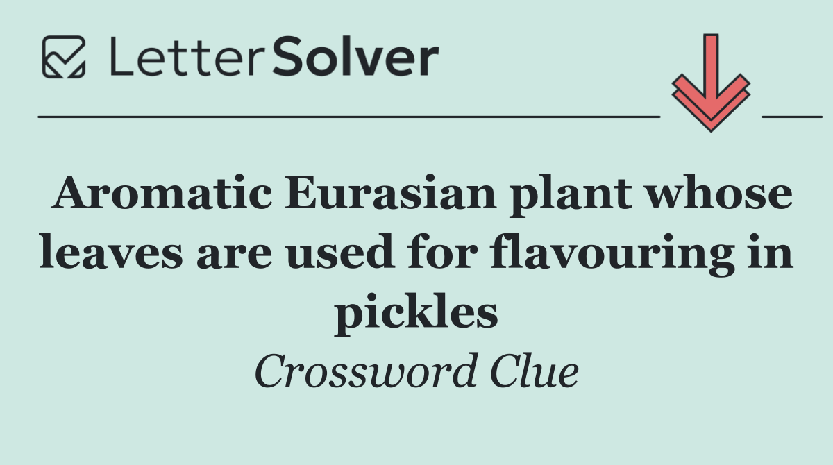 Aromatic Eurasian plant whose leaves are used for flavouring in pickles