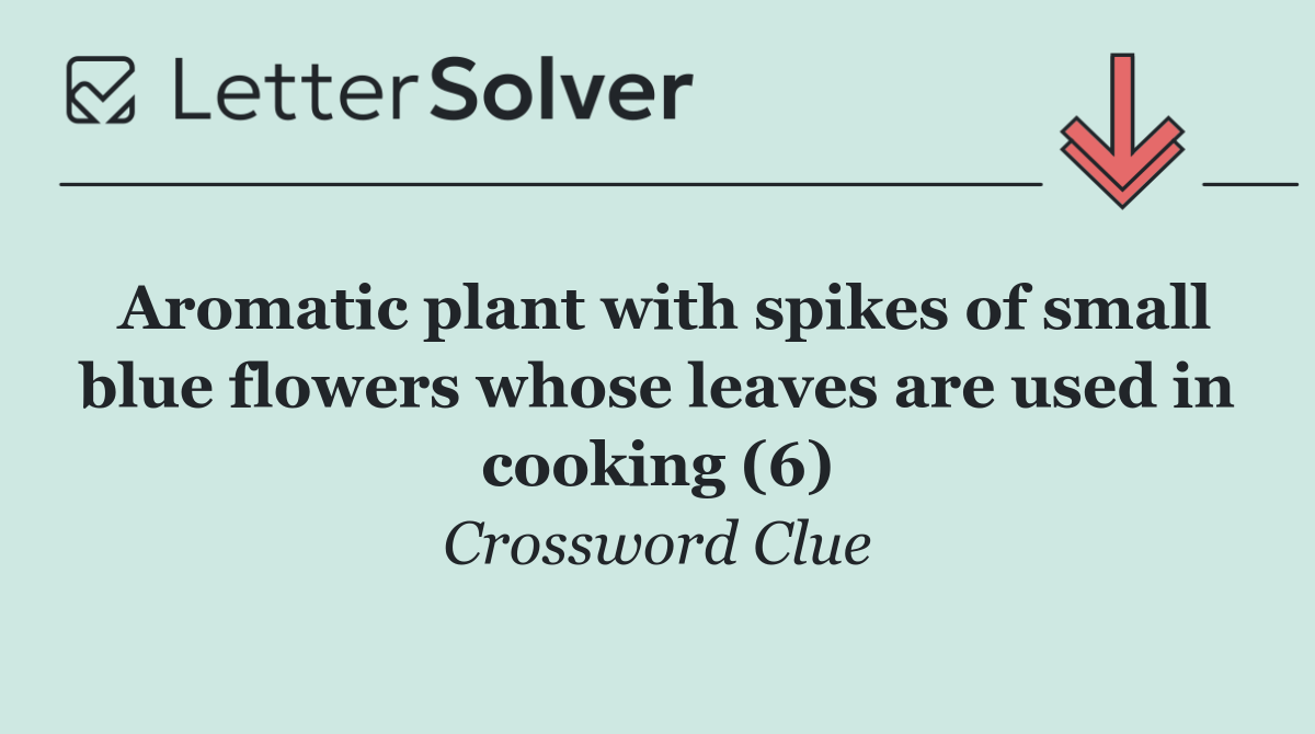 Aromatic plant with spikes of small blue flowers whose leaves are used in cooking (6)
