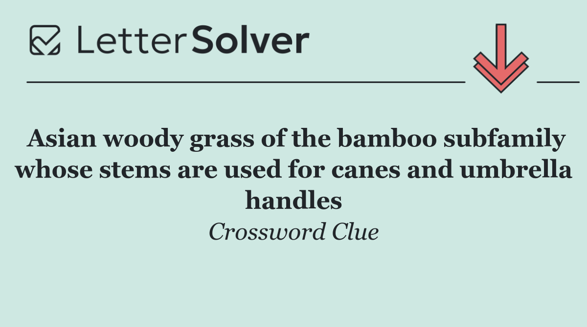 Asian woody grass of the bamboo subfamily whose stems are used for canes and umbrella handles