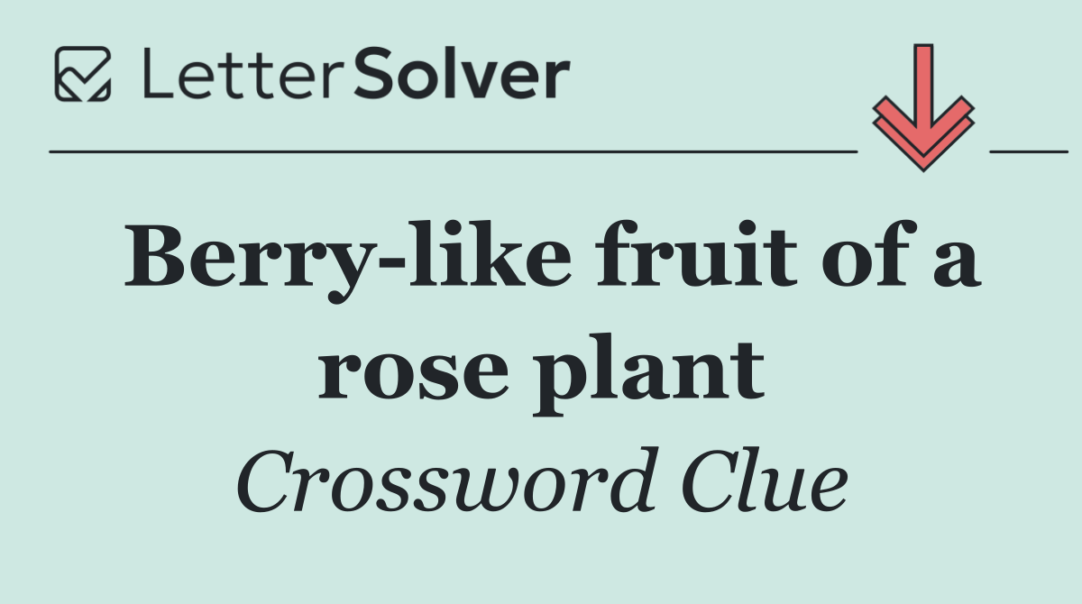 Berry like fruit of a rose plant