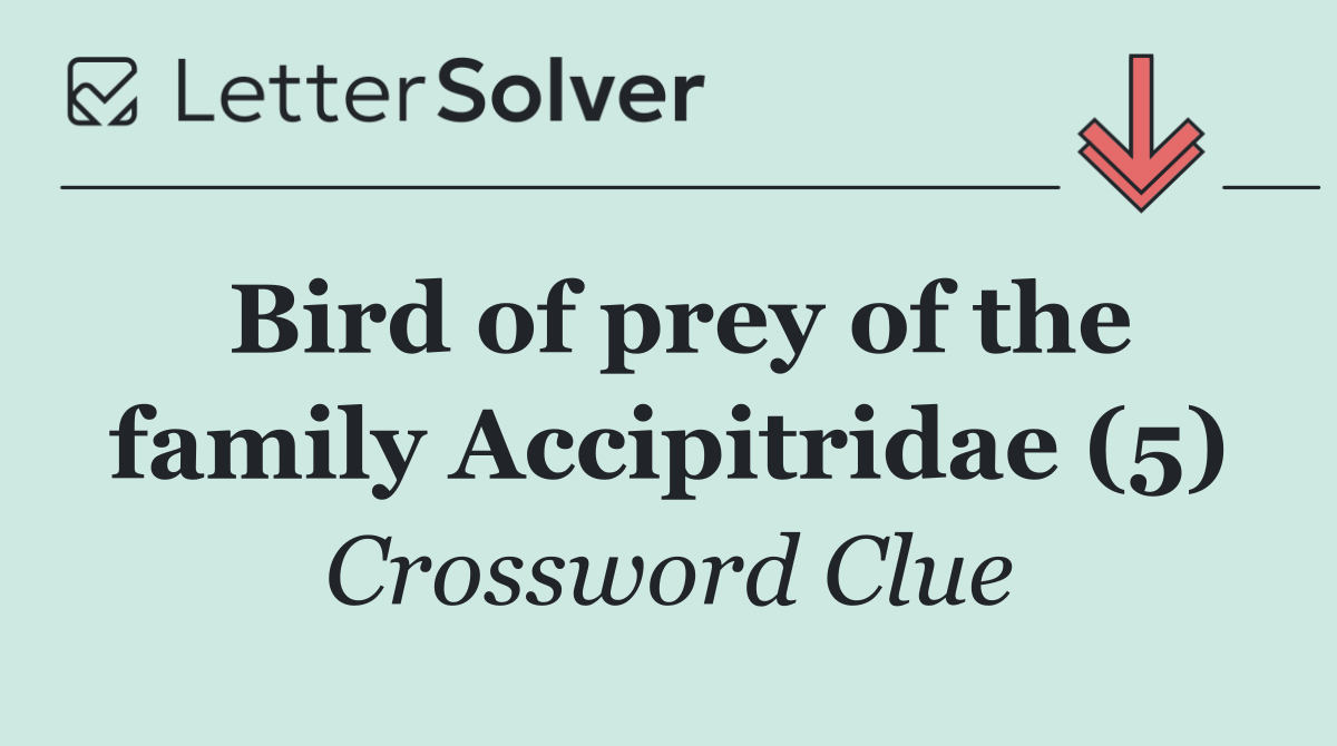 Bird of prey of the family Accipitridae (5)
