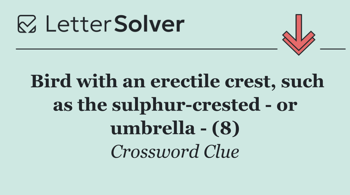 Bird with an erectile crest, such as the sulphur crested   or umbrella   (8)