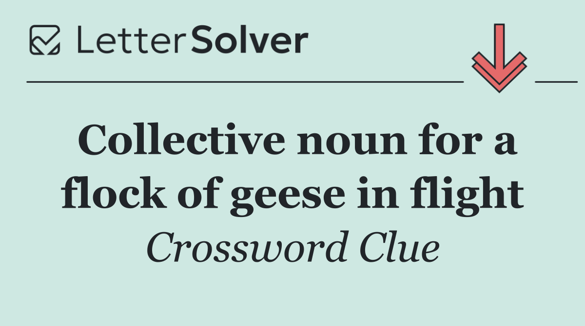 Collective noun for a flock of geese in flight