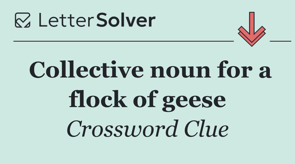 Collective noun for a flock of geese