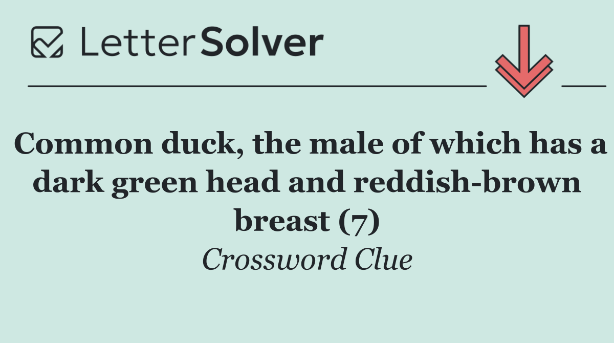 Common duck, the male of which has a dark green head and reddish brown breast (7)