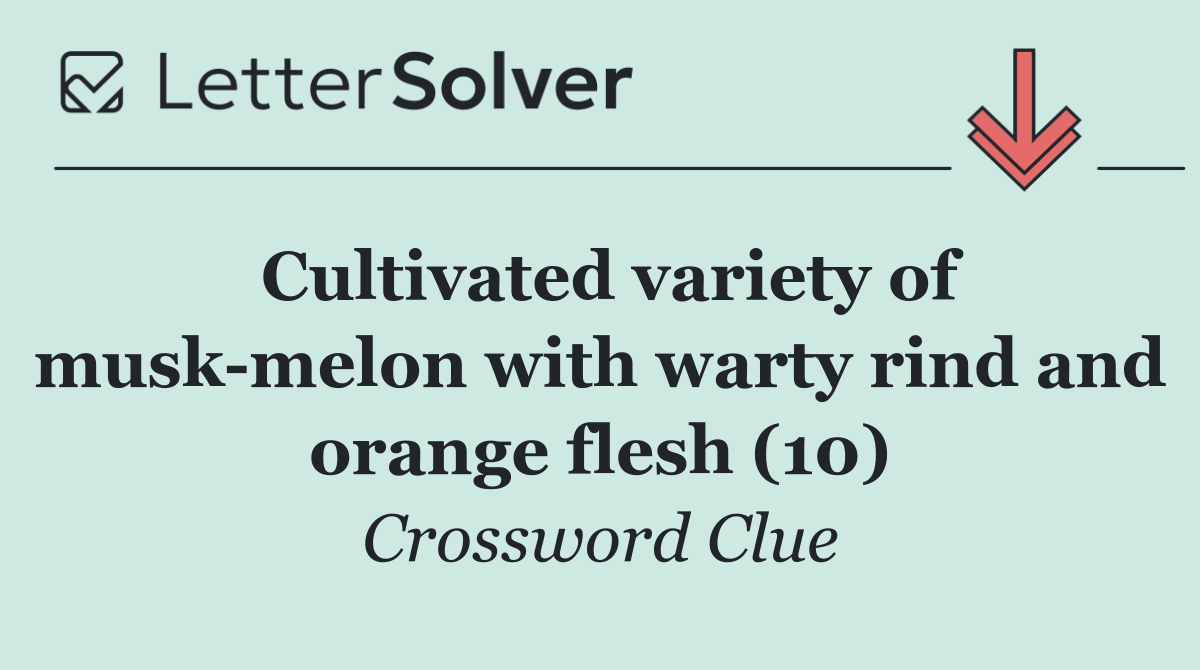 Cultivated variety of musk melon with warty rind and orange flesh (10)