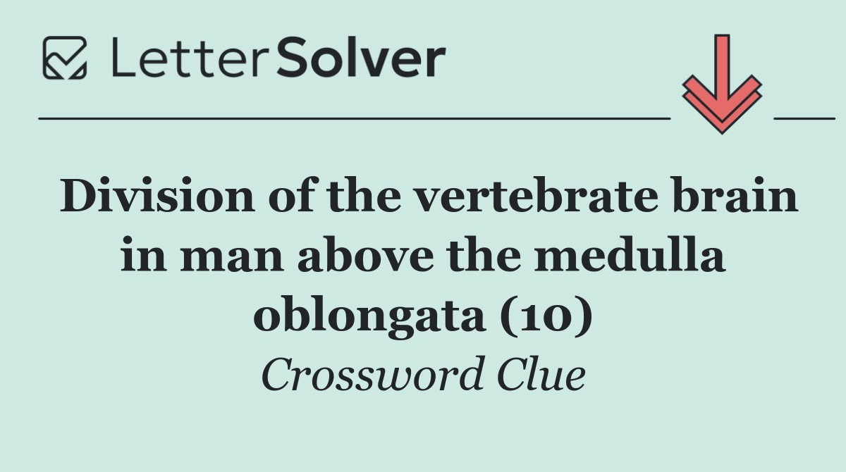 Division of the vertebrate brain in man above the medulla oblongata (10)
