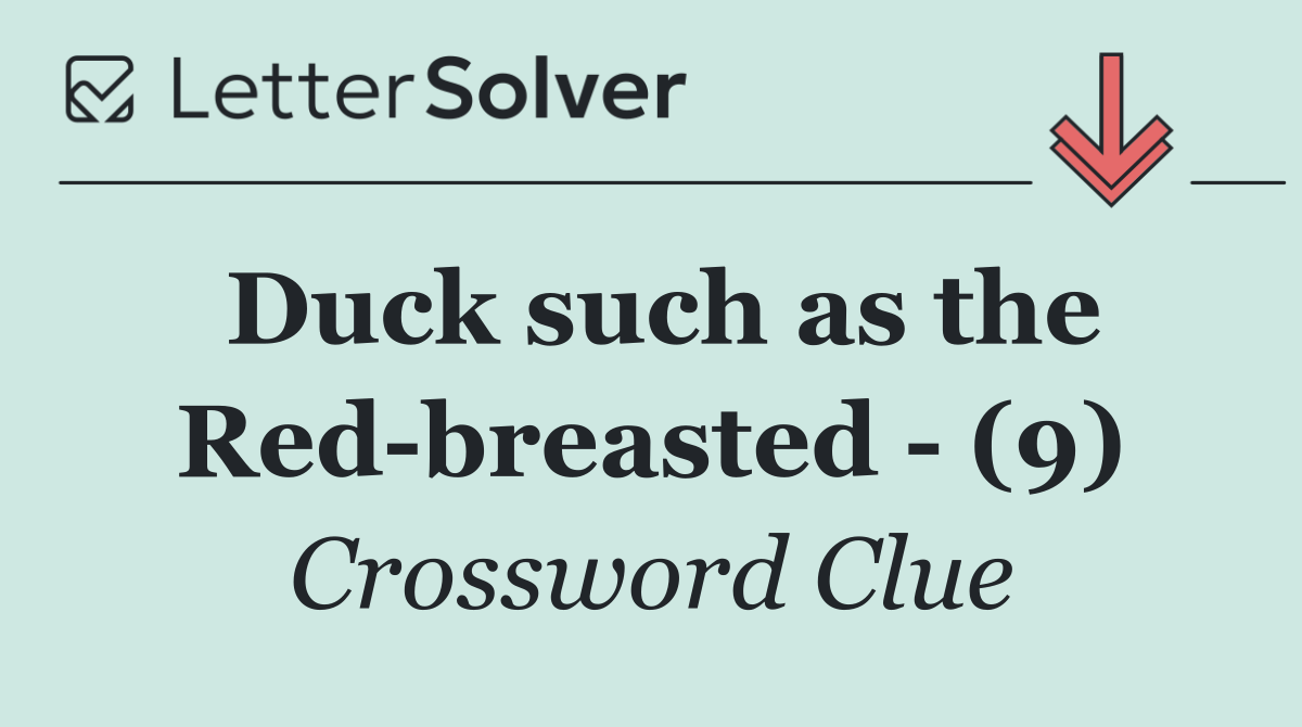Duck such as the Red breasted   (9)