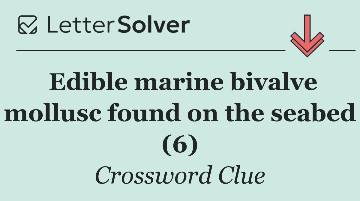 Edible marine bivalve mollusc found on the seabed (6)