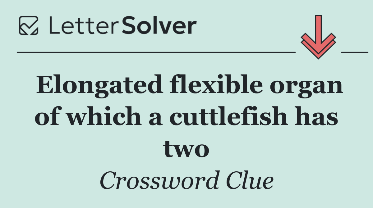 Elongated flexible organ of which a cuttlefish has two